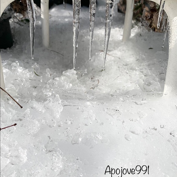 Meet your Posher, Isaiah! - Picture 10 of 10